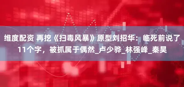 维度配资 再挖《扫毒风暴》原型刘招华:临死前说了11个字,被抓属于偶然_卢少骅_林强峰_秦昊